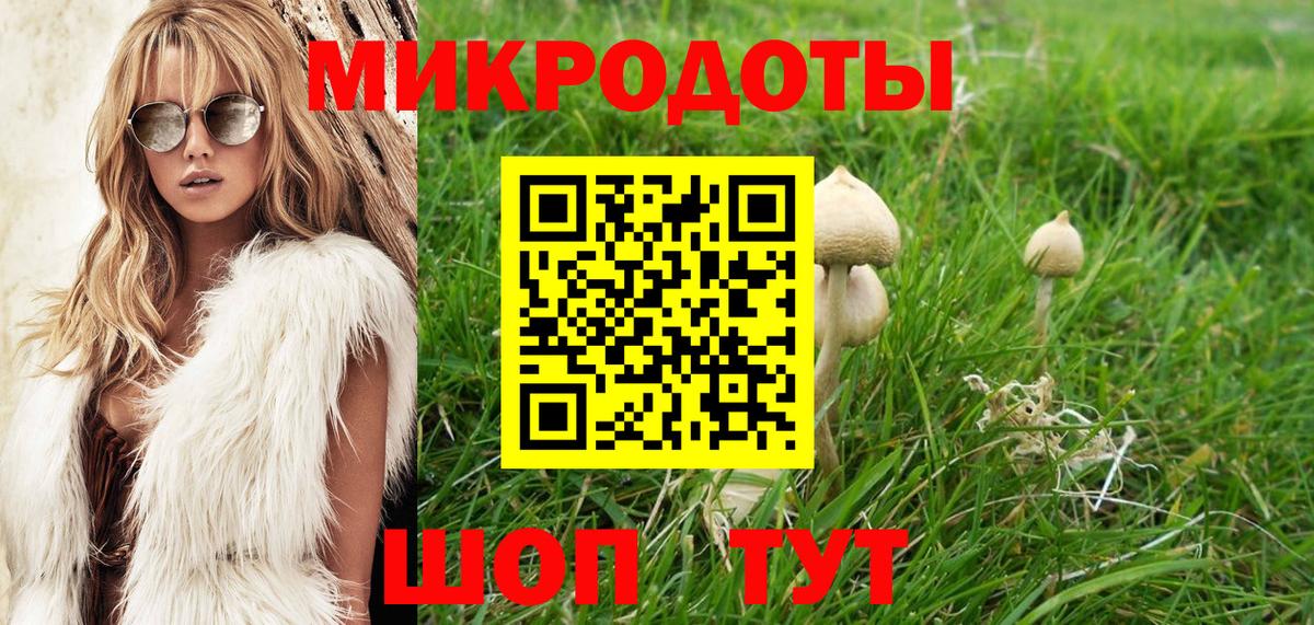 Галлюциногенные грибы мицелий  Вход с VPN  Шали  Галлюциногенные грибы Cubensis 