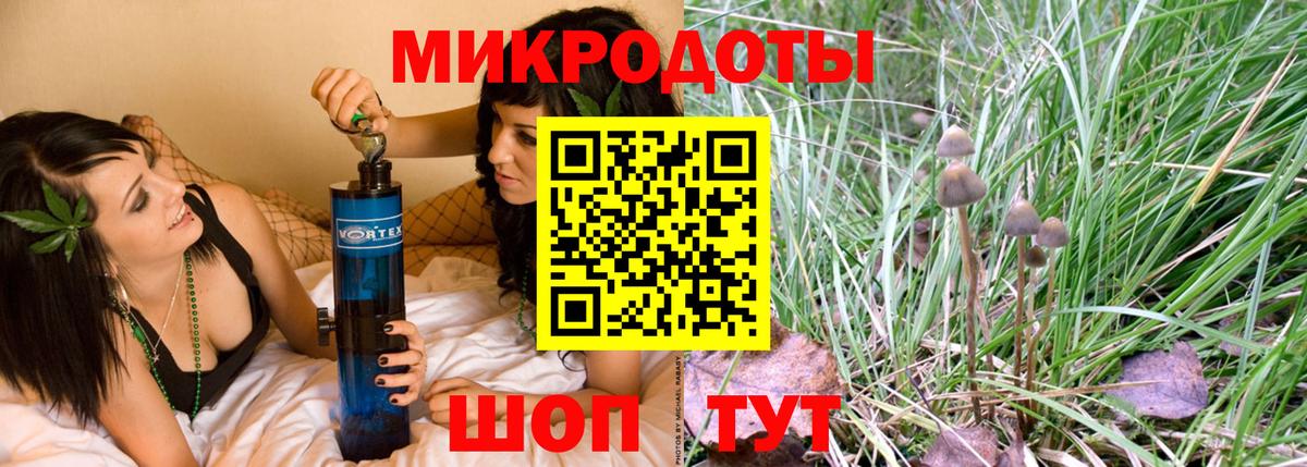 Псилоцибиновые грибы Cubensis Шали